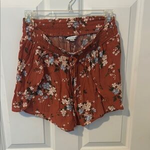 American Eagle Outfitters High Waist Red and White Shorts